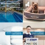 69095370_1736964976433928_2945673001787457536_o