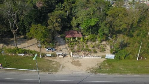 67645352_498238190719563_2933262814044749824_n