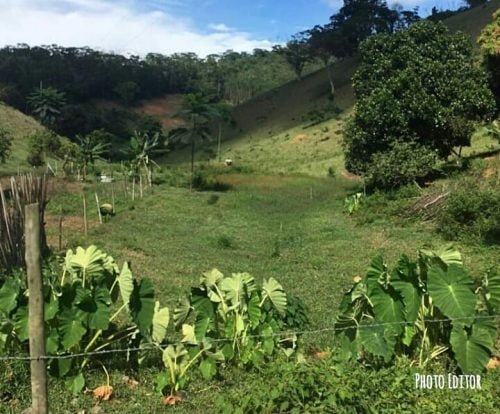 Photo Editor-20190825_213529