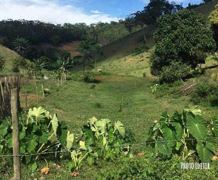 Photo Editor-20190825_213529