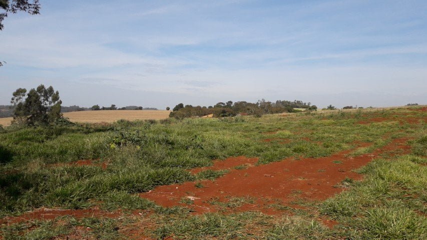 20190809_102213 (Pequeno)