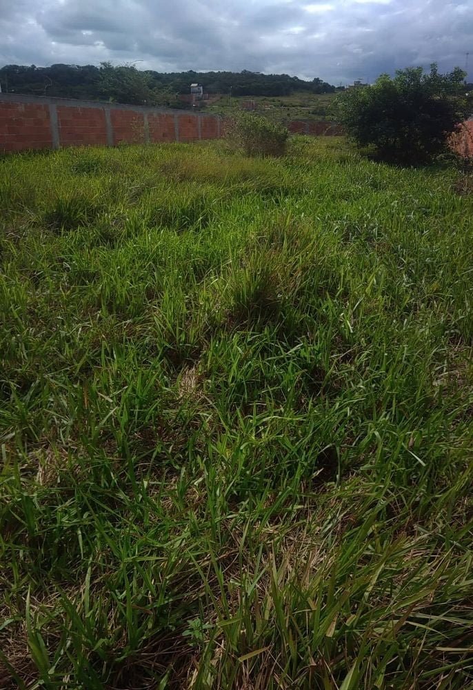 69061797_915112805513808_7584644187237122048_n