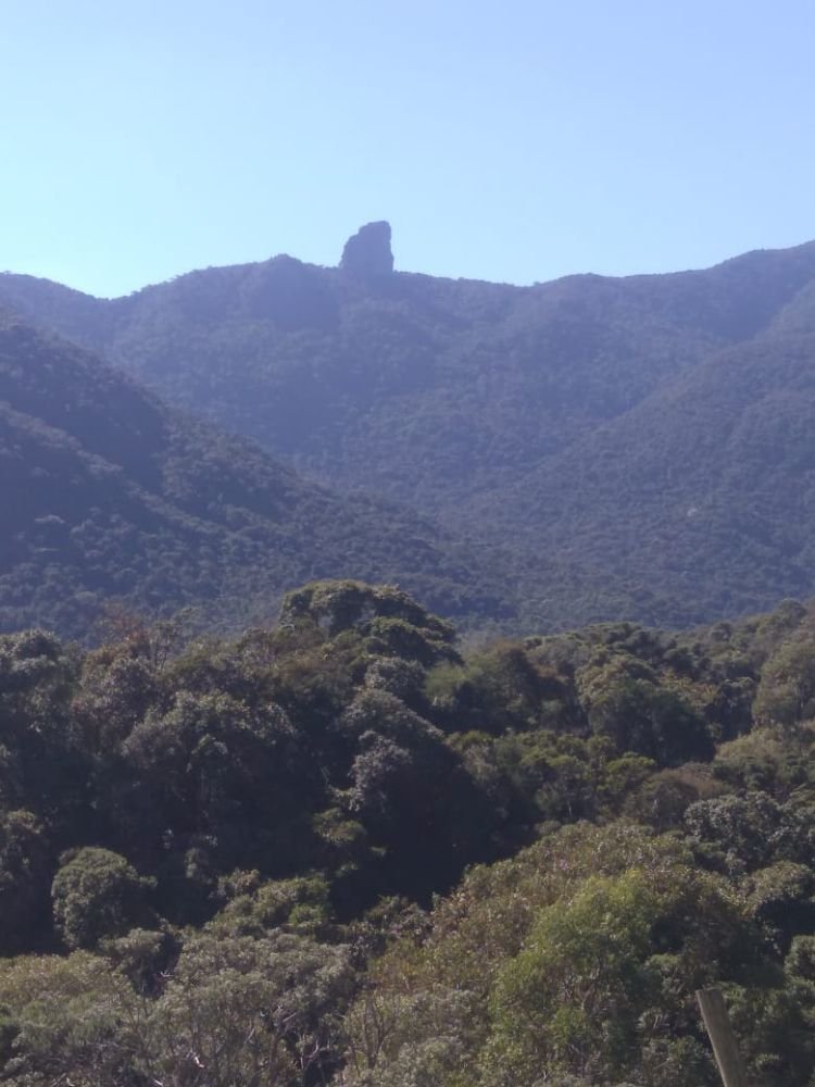 91b8601a-848d-4645-afd2-ba04229add0b