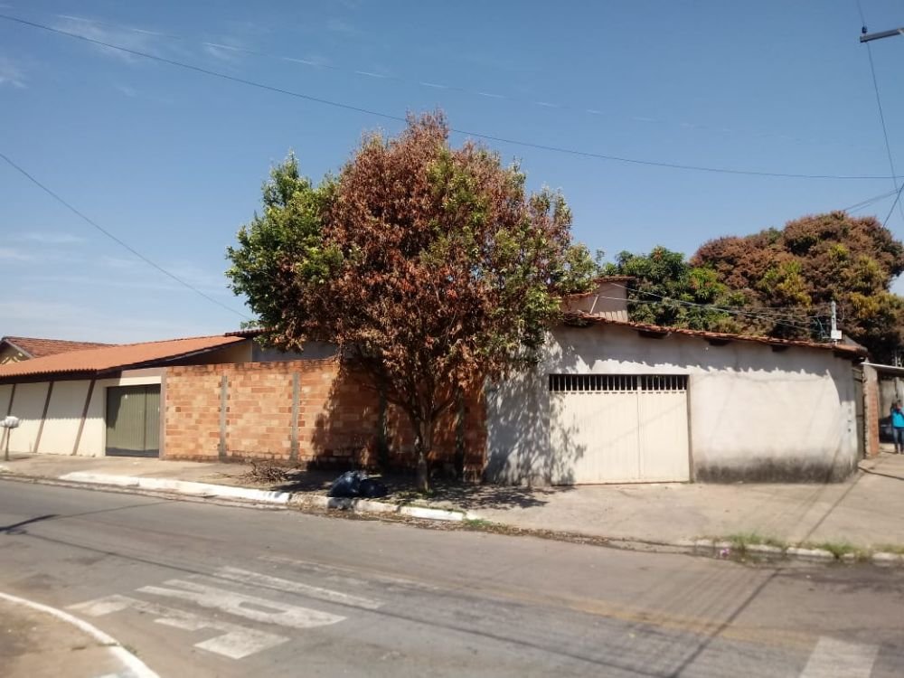 WhatsApp Image 2019-08-05 at 19.49.32