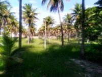 IMG_20180212_103743729_HDR