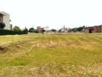 WhatsApp Image 2019-08-11 at 22.18.51