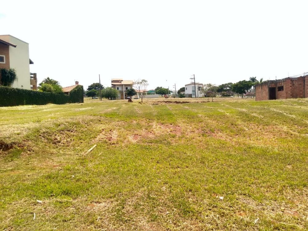 WhatsApp Image 2019-08-11 at 22.18.51