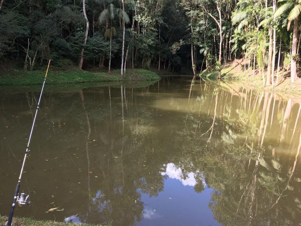 WhatsApp Image 2019-08-07 at 13.53.07