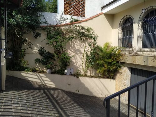 68525045_509852709791719_6015822457984778240_n