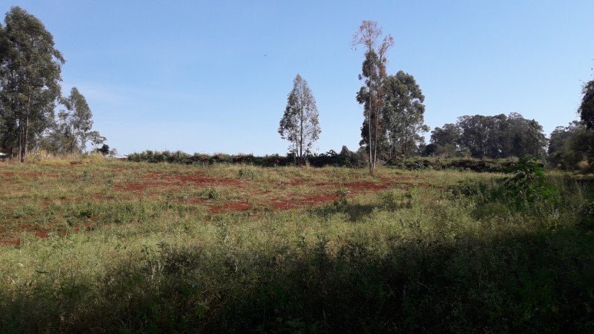 20190809_101756 (Pequeno)