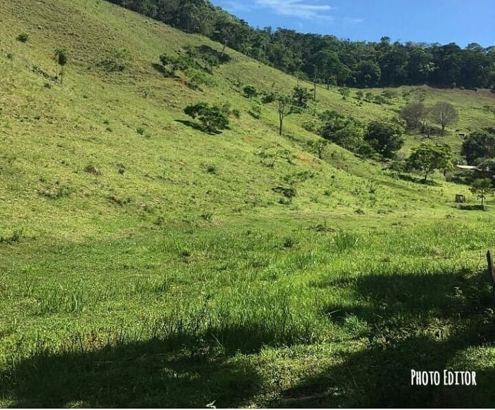 Photo Editor-20190825_213350