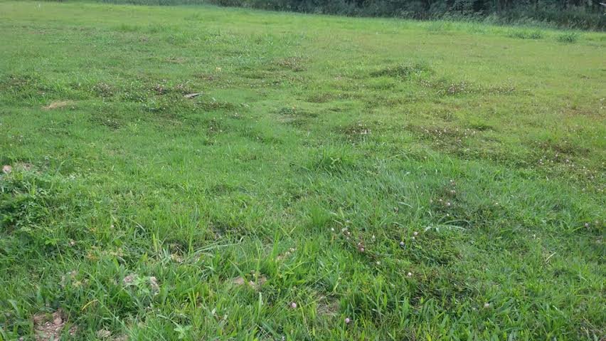 c9b69b12-ba08-4725-9553-9d1910287b01