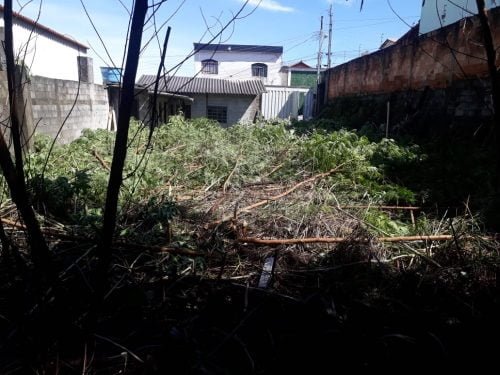 6119E177-6BA9-410F-B776-FAB28FE26C70