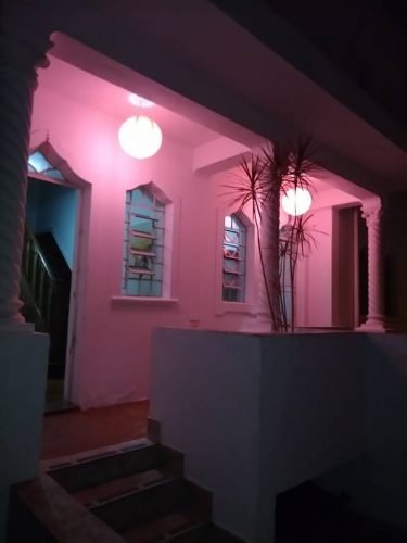 44753973_564164580693964_4175830619810430976_n