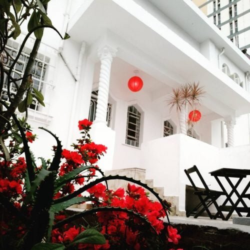 60477161_696218530821901_2680668451562848256_n