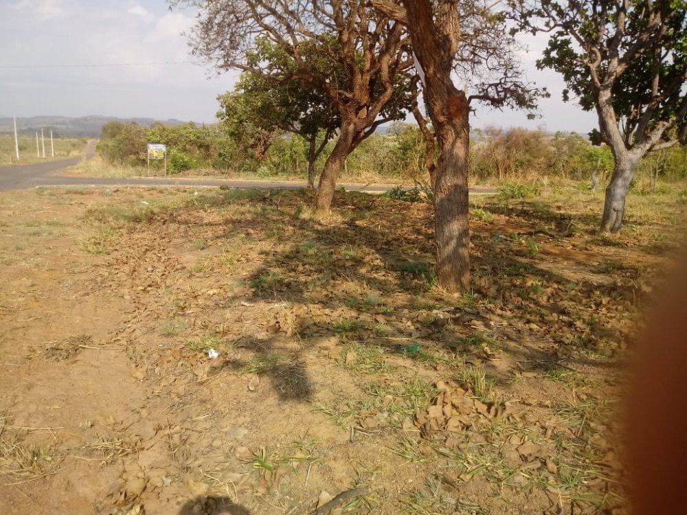 20833BCC-76CE-495B-9AEC-B2CCDD1B0DCC