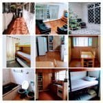 75233642_276195306674465_8619378323685900288_o-COLLAGE