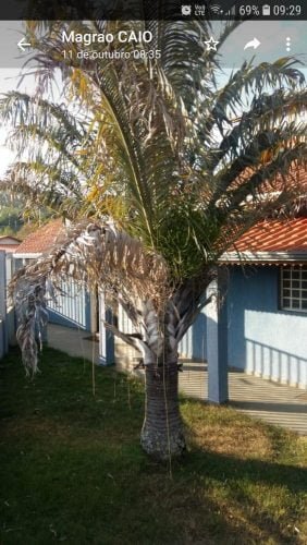 Screenshot_20191204-092933_WhatsApp