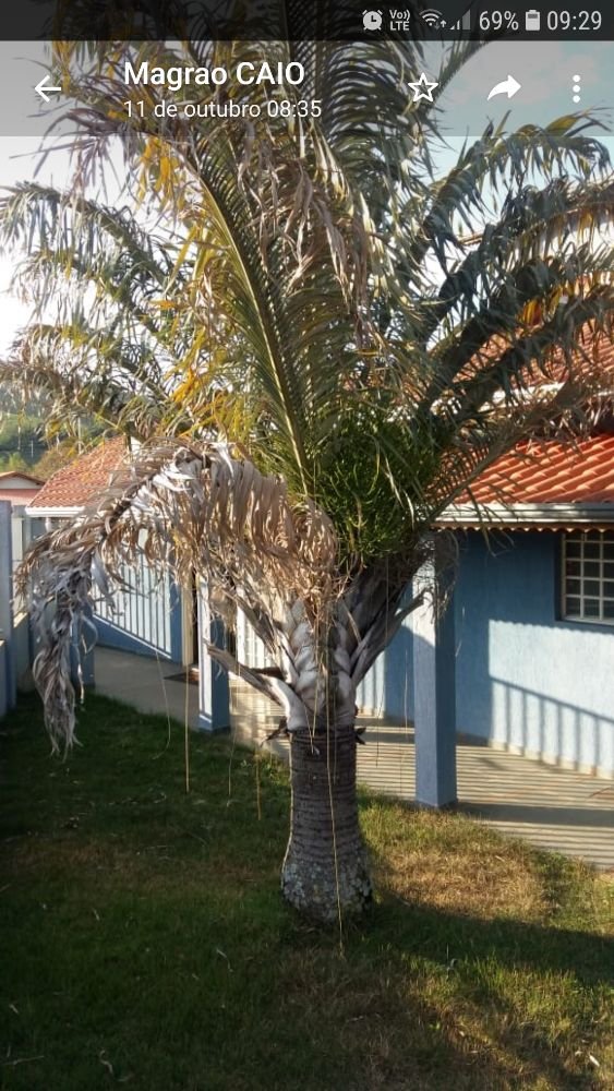 Screenshot_20191204-092933_WhatsApp