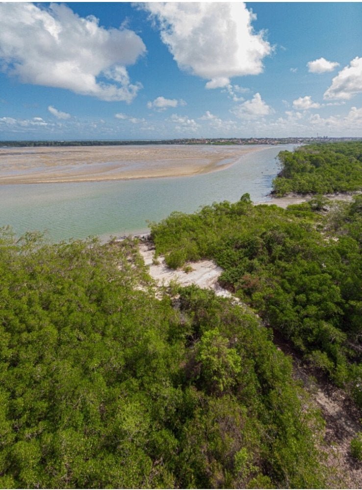 8F2609F2-9803-4BA3-A90B-6577897E2887