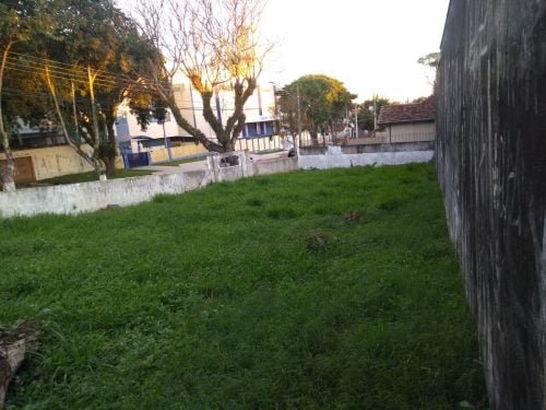 IMG-20191125-WA0032 (3)