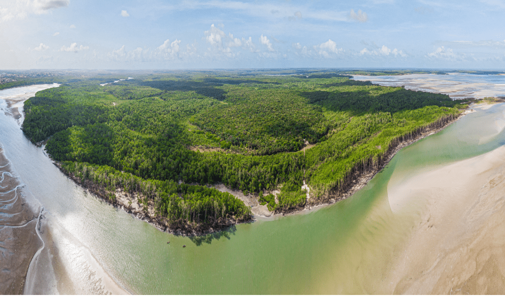 Grande área à Beira Mar