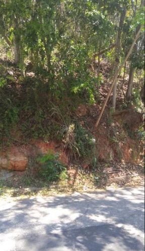 1C068874-26C3-4E29-9222-446D93C77225