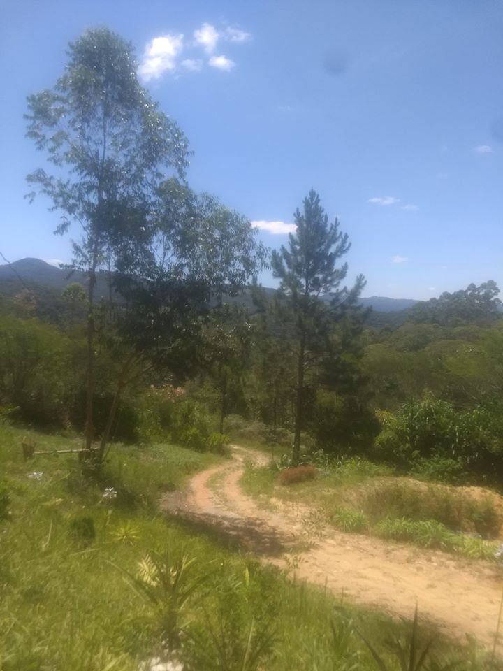 82788016_1566123313541672_6882625013837463552_o