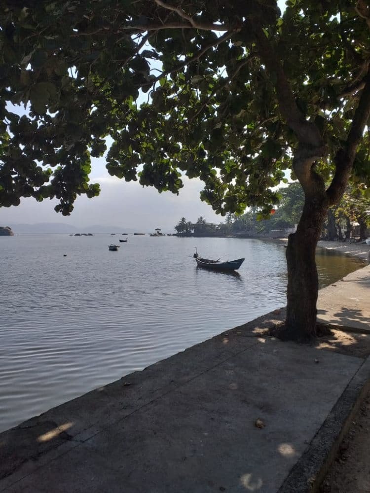 72453950_121857022556533_1122277990986678272_o