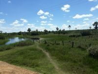 FAZENDA - 003 - IMG-20191228-WA0018 - Cópia