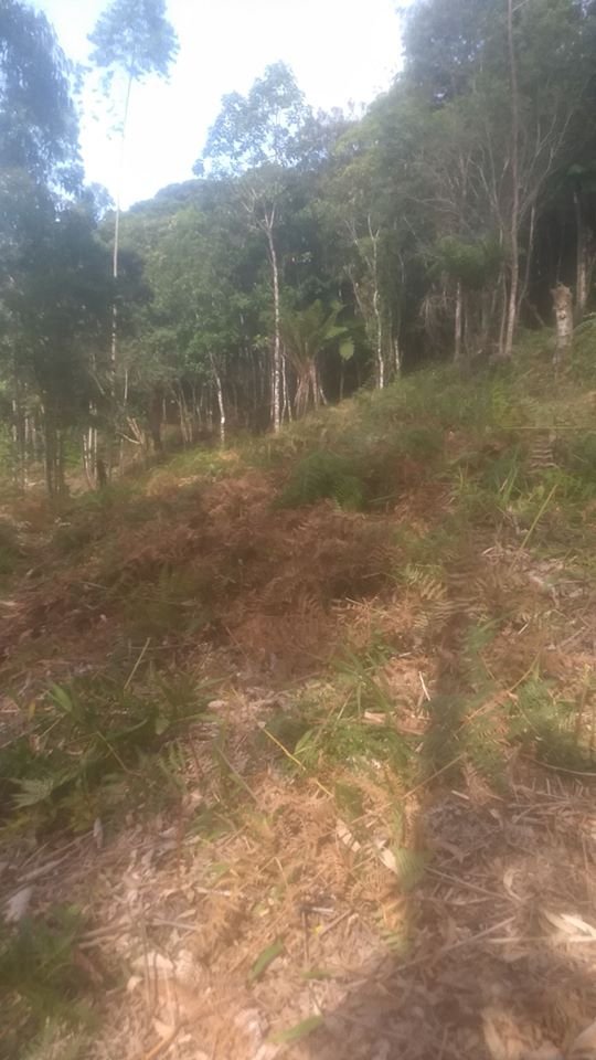 83239574_1566122310208439_7059723897184190464_o