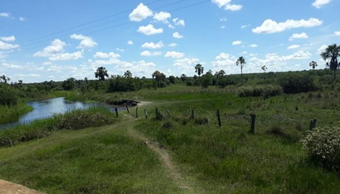FAZENDA - 003 - IMG-20191228-WA0018 - Cópia