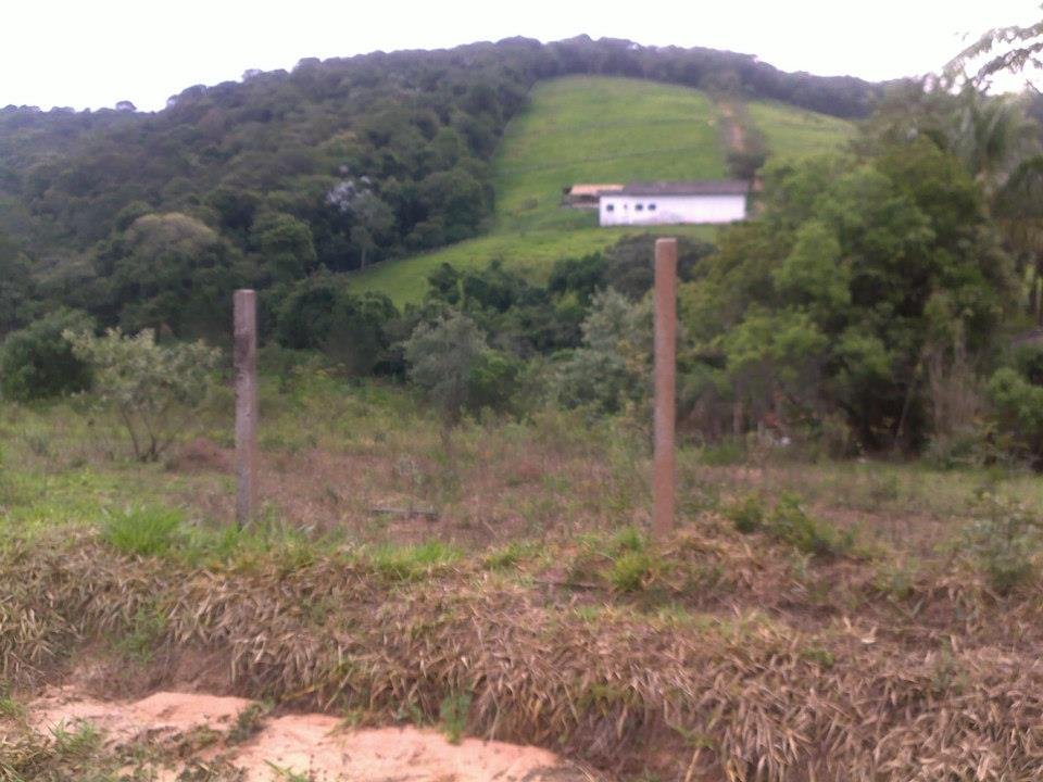 480216_439287659500708_1833994111_n