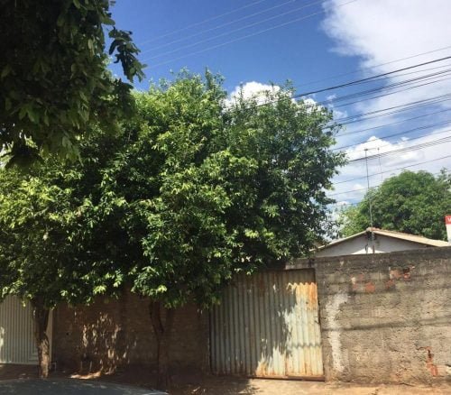 WhatsApp Image 2020-03-28 at 18.44.53 (1)