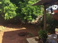 WhatsApp Image 2020-03-28 at 18.44.53 (3)