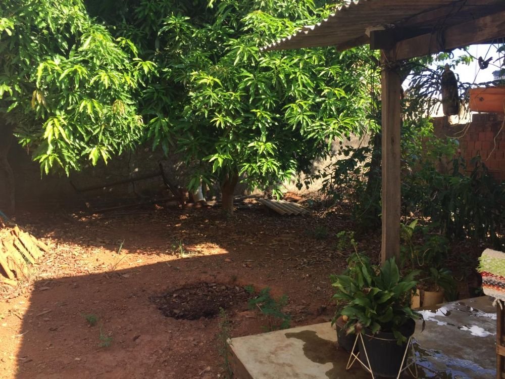 WhatsApp Image 2020-03-28 at 18.44.53 (3)