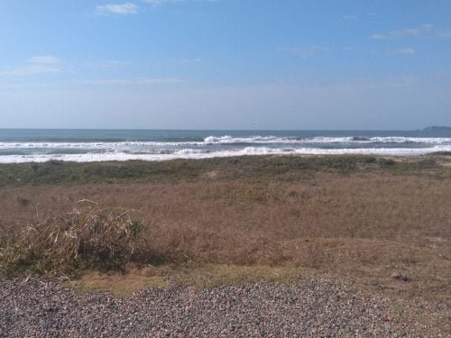 IMG_20200410_093225233