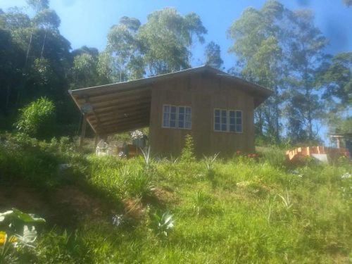 received_618588088931872