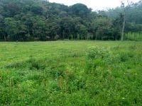 93959429_3205300512853850_865226856905834496_n