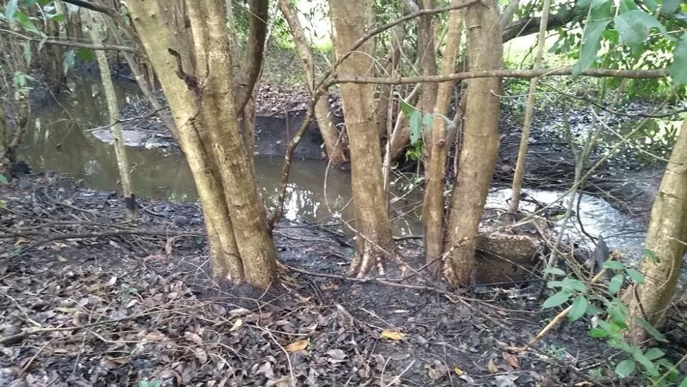 7 IMG_20190519_144600623 (Copy)