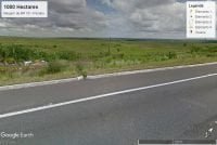 1000 hectares Goiana 02