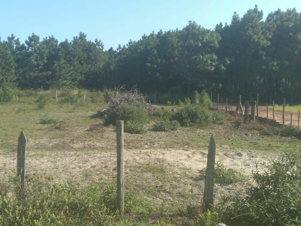 28bc5f51-6a0f-4db5-a5a0-8ee095c0585f