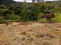 IMG_20200114_110438676-1