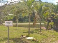 3ea015f3dc9821840f1d55de19ef6227