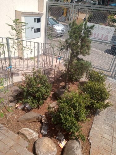 WhatsApp Image 2020-09-17 at 13.35.16 (2)