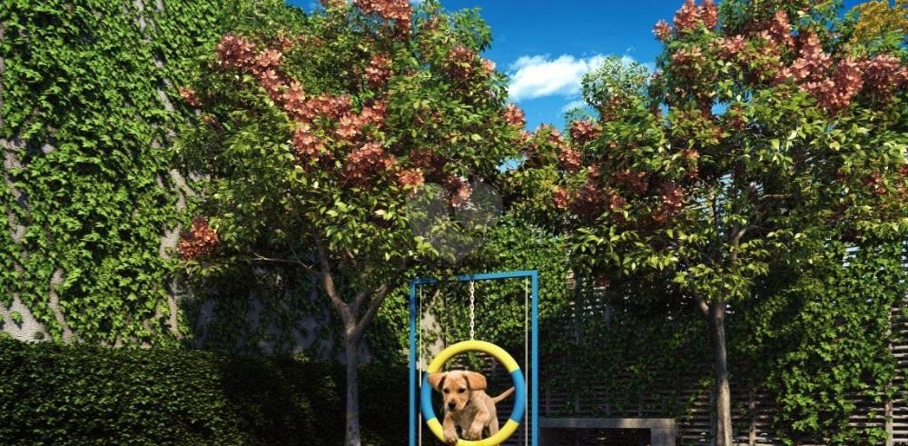 kz-radial-sao-paulo-mooca-13-pet-place