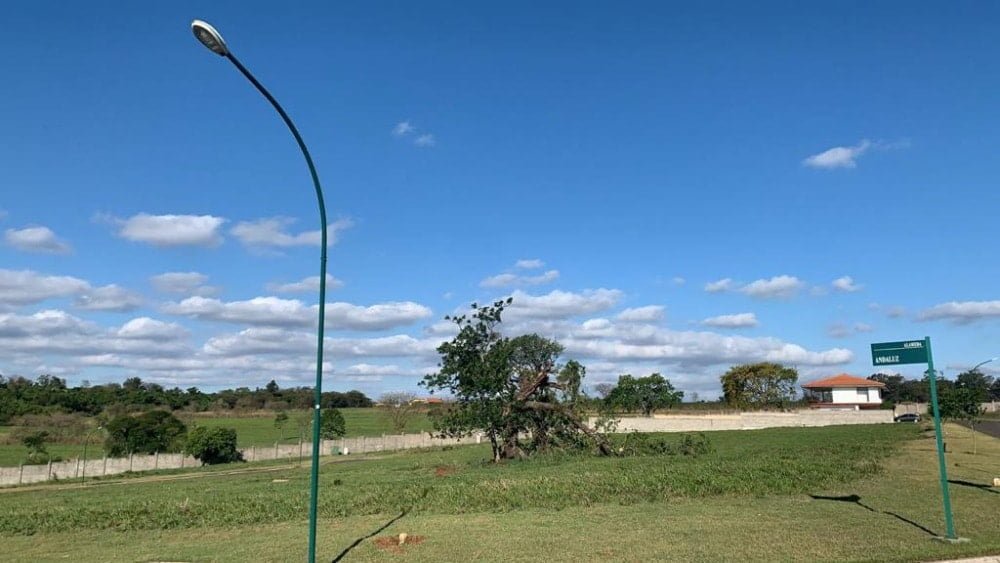 WhatsApp Image 2021-01-24 at 20.22.51-4