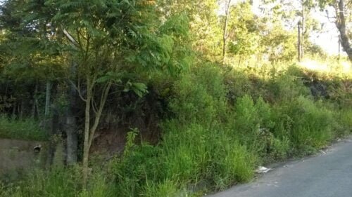 64216067_2127078100926228_7140724901622579200_o