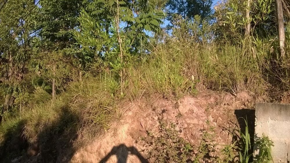 64556695_2127078020926236_8258346052843732992_o (1)