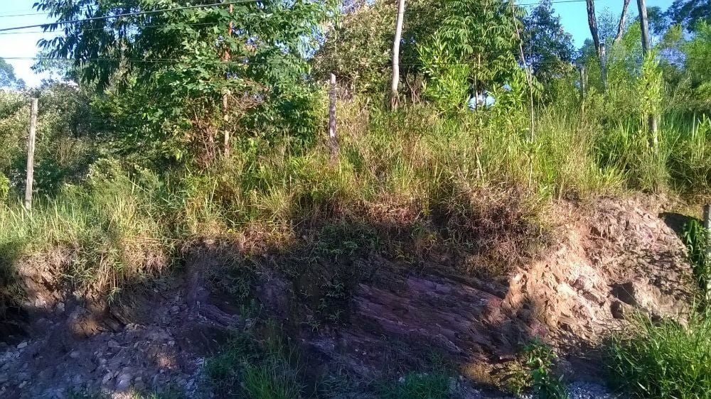 64304240_2127078030926235_158692624906059776_o